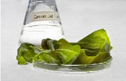 «Ενεργειακά» φυτά καουτσούκ (ελαστικό κόμμι) λεύκα φύκη υάκινθος Η αξιοποίηση της βιομάζας μπορεί να γίνει με τρεις κατηγορίες