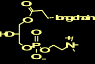 (oxfa) Lysophosphatidylcholine