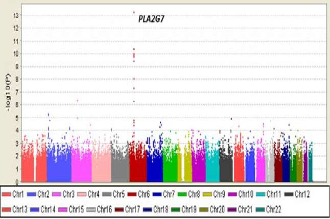 with LDL-C APOA5, APOA4, APOC3, APOA1 SR-BI