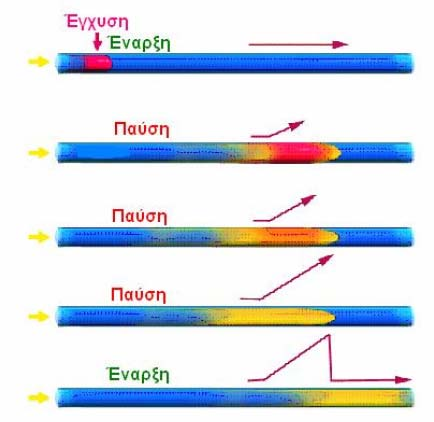 Τεχνική της διαδοχικής έγχυσης του δείγματος σε ροή - SIA 12 3. Αναρρόφηση καθορισμένων όγκων διαλυμάτων αντιδραστηρίων στο σπείραμα παραμονής. 4.