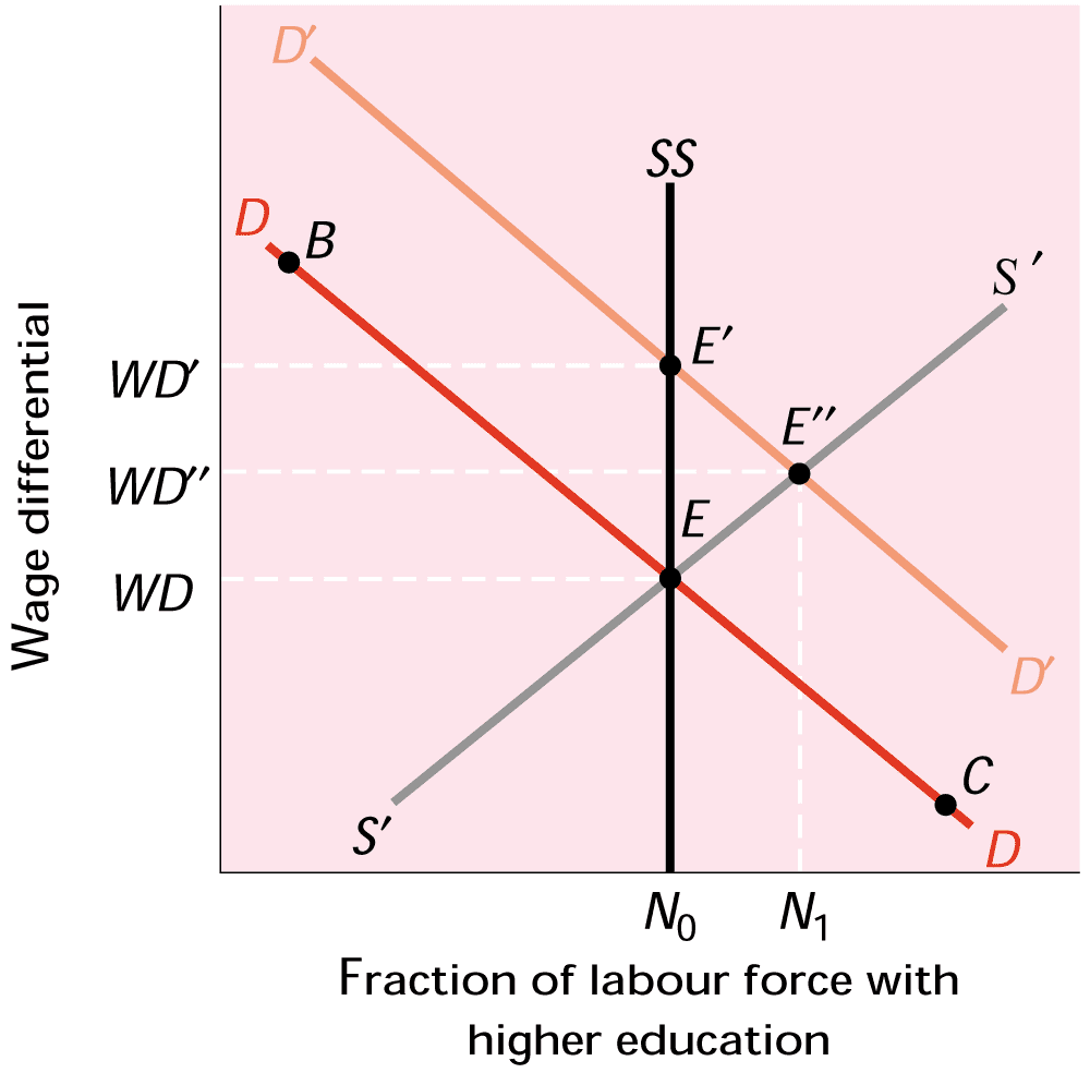 Αγορά εργασίας πτυχιούχων κατά τη βραχυχρόνια και τη μακροχρόνια περίοδο Αρχικά, ισορροπία στο Ε (Ν0,WD), τομή των SS, S S και DD. Αύξηση της ζήτησης σε D D.