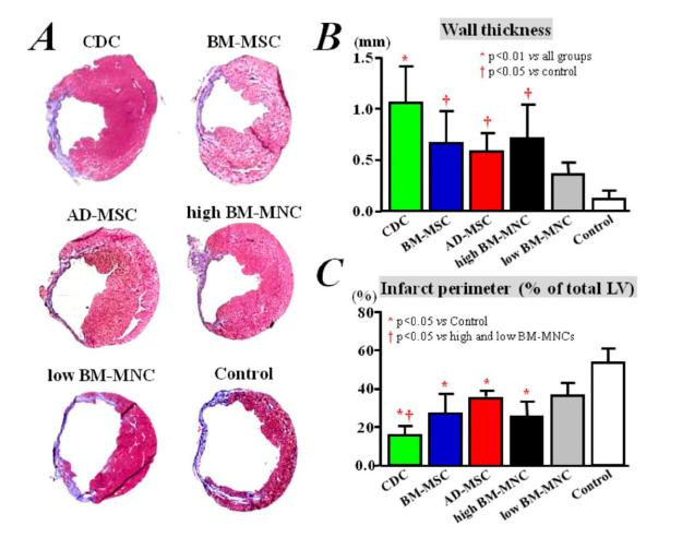 Direct comparison of different stem cell types and subpopulations reveals superior paracrine