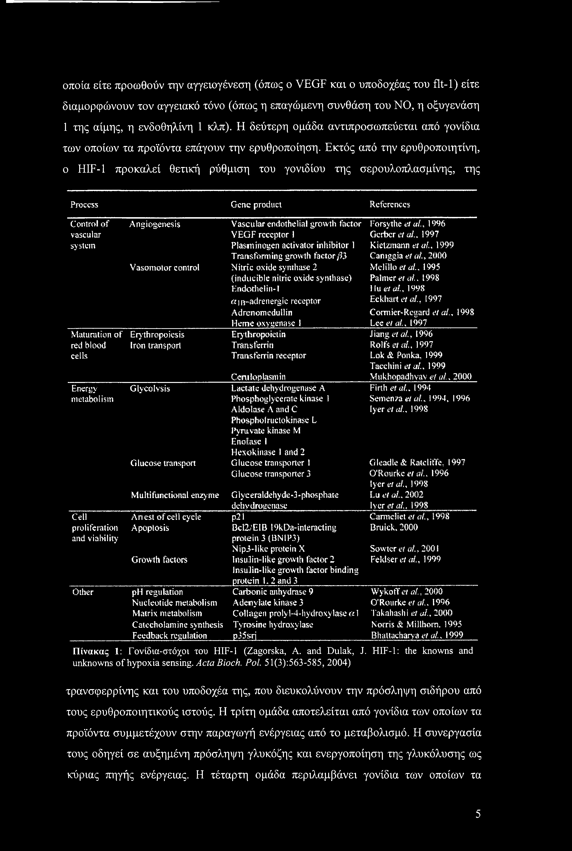 Εκτός από την ερυθροποιητίνη, ο HIF-1 προκαλεί θετική ρύθμιση του γονιδίου της σερουλοπλασμίνης, της Process Gene product References Control of Angiogenesis Vascular endothelial growth factor