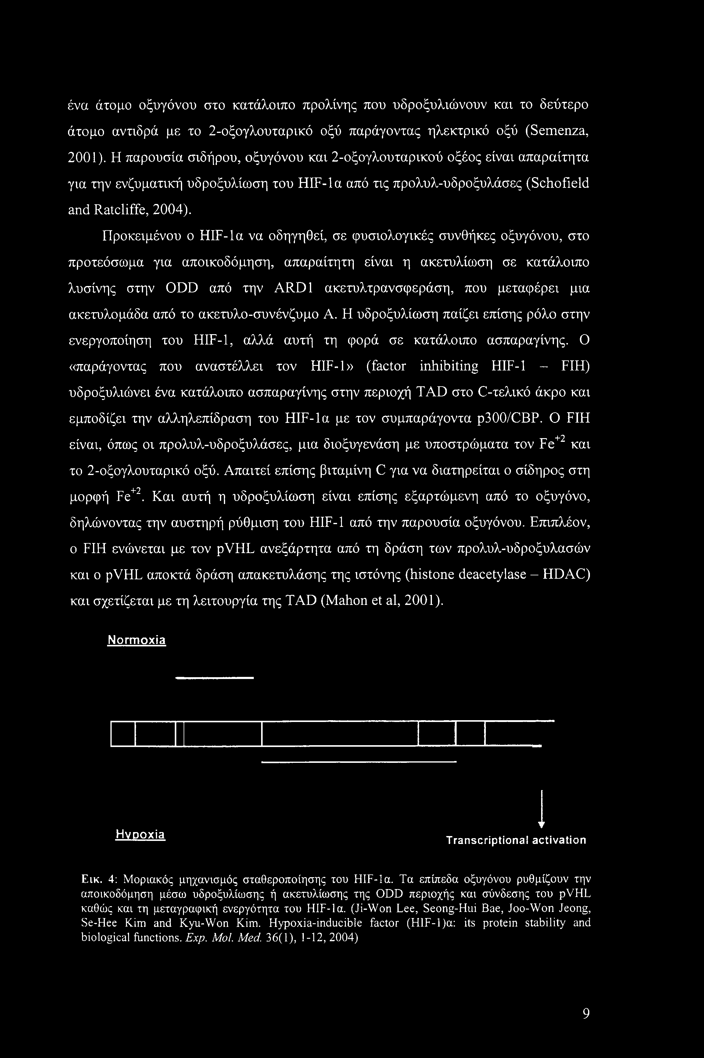 Προκειμένου ο HIF-la να οδηγηθεί, σε φυσιολογικές συνθήκες οξυγόνου, στο προτεόσωμα για αποικοδόμηση, απαραίτητη είναι η ακετυλίωση σε κατάλοιπο λυσίνης στην ODD από την ARD1 ακετυλτρανσφεράση, που