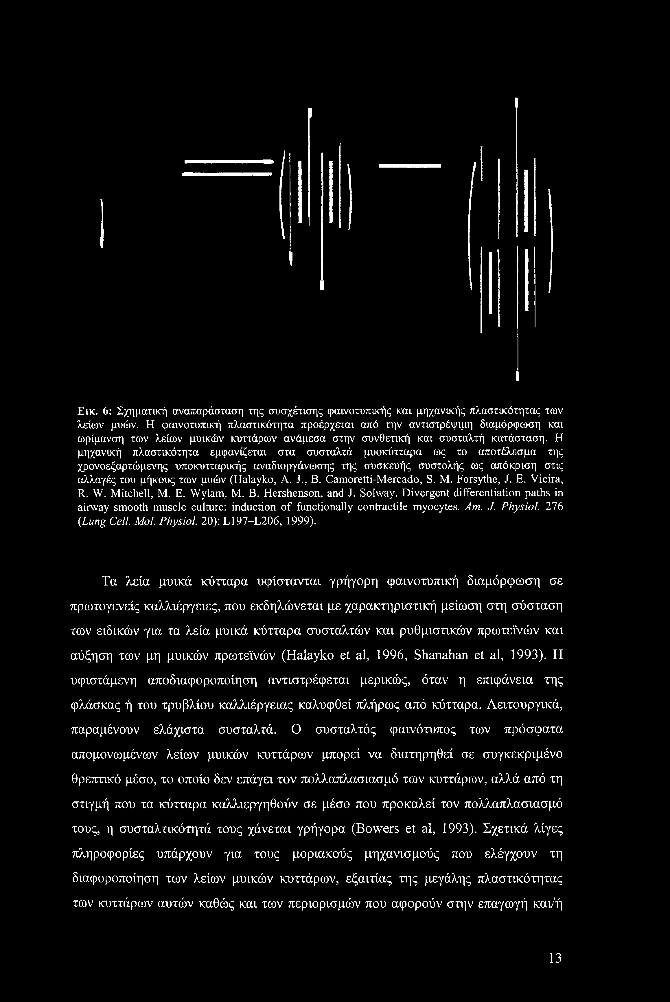 Η μηχανική πλαστικότητα εμφανίζεται στα συσταλτά μυοκύτταρα ως το αποτέλεσμα της χρονοεξαρτώμενης υποκυτταρικής αναδιοργάνωσης της συσκευής συστολής ως απόκριση στις αλλαγές του μήκους των μυών