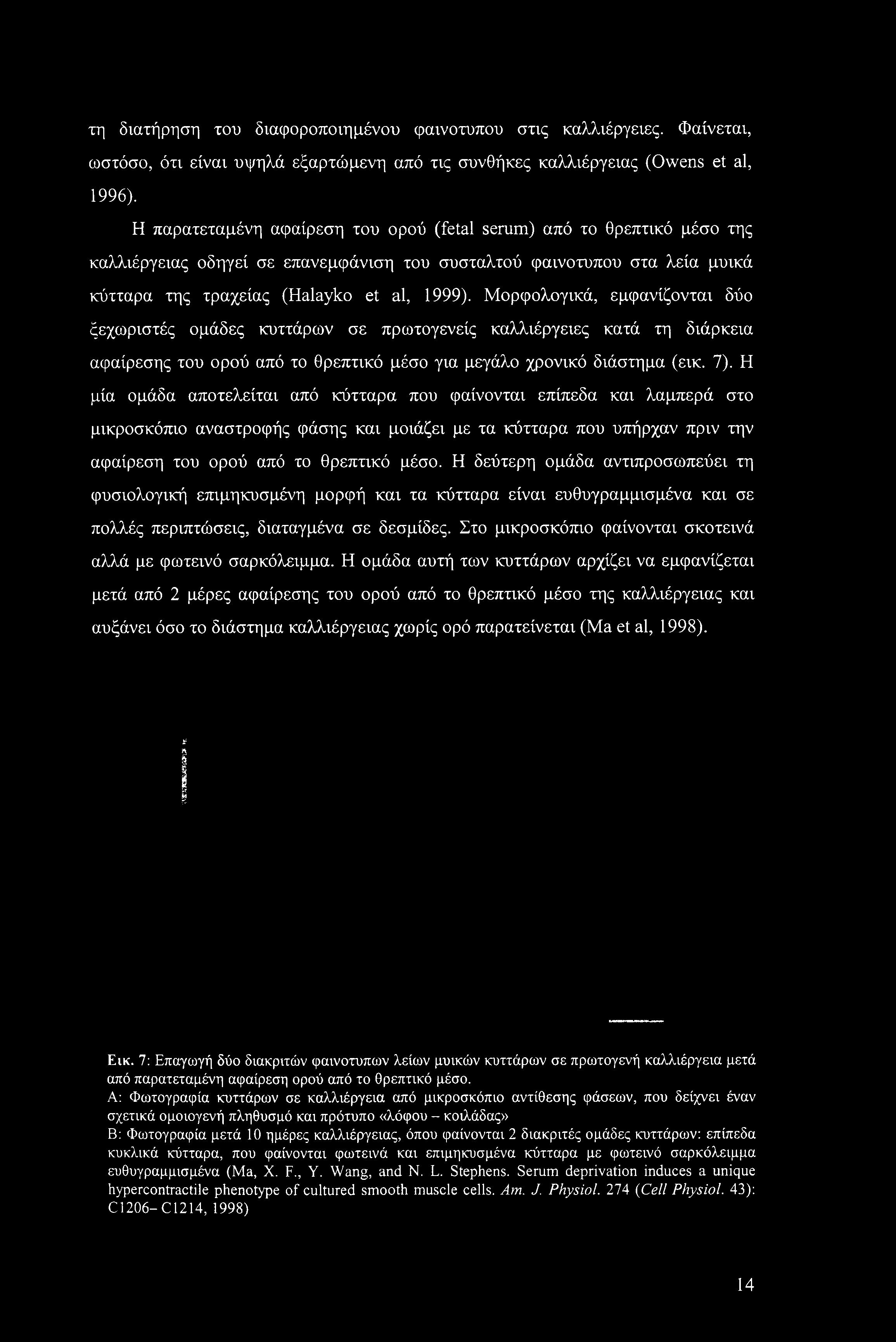 Η δεύτερη ομάδα αντιπροσωπεύει τη φυσιολογική επιμηκυσμένη μορφή και τα κύτταρα είναι ευθυγραμμισμένα και σε πολλές περιπτώσεις, διαταγμένα σε δεσμίδες.