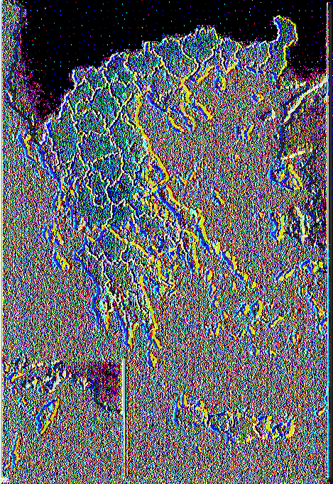 ΣΤΑΤ. (2007) Από την ετήσια στατιστική έρευνα 2007, ανά δημοτικό και κοινοτικό διαμέρισμα (Καλλικράτης 2007) Συνολική γεωργική γη Έκταση καλλιέργειας Παραγωγή 37.000 χιλ. στρ. 63 χιλ.