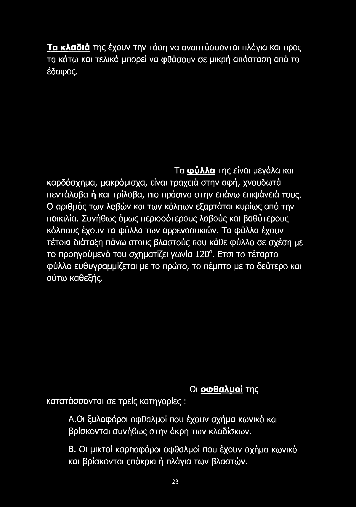 Συνήθως όμως περισσότερους λοβούς και βαθύτερους κόλπους έχουν τα φύλλα των αρρενοσυκιών.