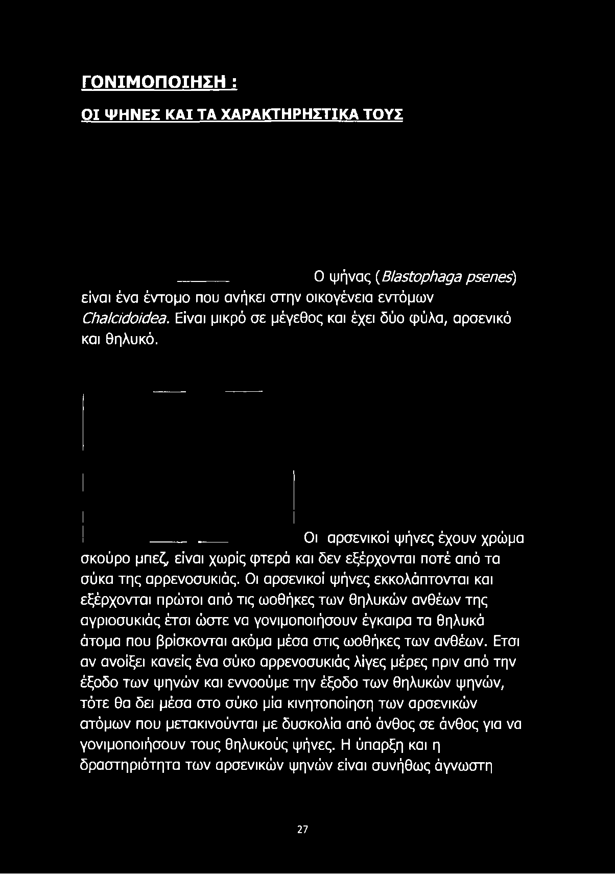 Οι αρσενικοί ψήνες έχουν χρώμα σκούρο μπεζ, είναι χωρίς φτερά και δεν εξέρχονται ποτέ από τα σύκα της