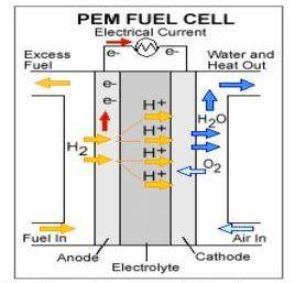 33 Σχήμα 3.3.: Κυψέλες καυσίμου πολυμερούς ηλεκτρολυτικής μεμβράνης Το αέριο υδρογόνο περνώντας μέσα από τους πόρους του ηλεκτροδίου της ανόδου, διασπάται σε ιόντα Η + και απελευθερώνει ηλεκτρόνια,