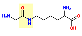 Γκδμθοηηανηθή νύζμηζε ΝΙCD ΝΙCD ΑΤΡ Cys-Gly Cys-Gly Lys-Gly Lys-Gly: ισοπεπτιδικός δεσμός Oρβικξριηίμωζη.