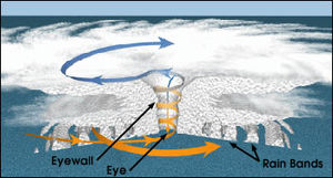 Τρισδιάστατη απεικόνιση της δομής των τροπικών κυκλώνων, στην οποία το ύψος έχει αυξηθεί κατά πολύ, ώστε να είναι πιο εμφανής η ροή των ανέμων (τα βέλη) γύρω από το «μάτι».