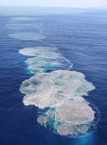 , 2012a. Εικόνα 2.20 : Εκτόξευση τέφρας και αερίων κατά την υποθαλάσσια έκρηξη του 2009, στα νησιά της Tonga, στο Νότιο Ειρηνικό.