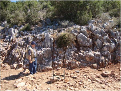 Φωτογραφία 22: Ζώνες κερματισμού ή ρήγματος (w: εύρος) στους Ασβεστόλιθους Παντοκράτορα (Ji.