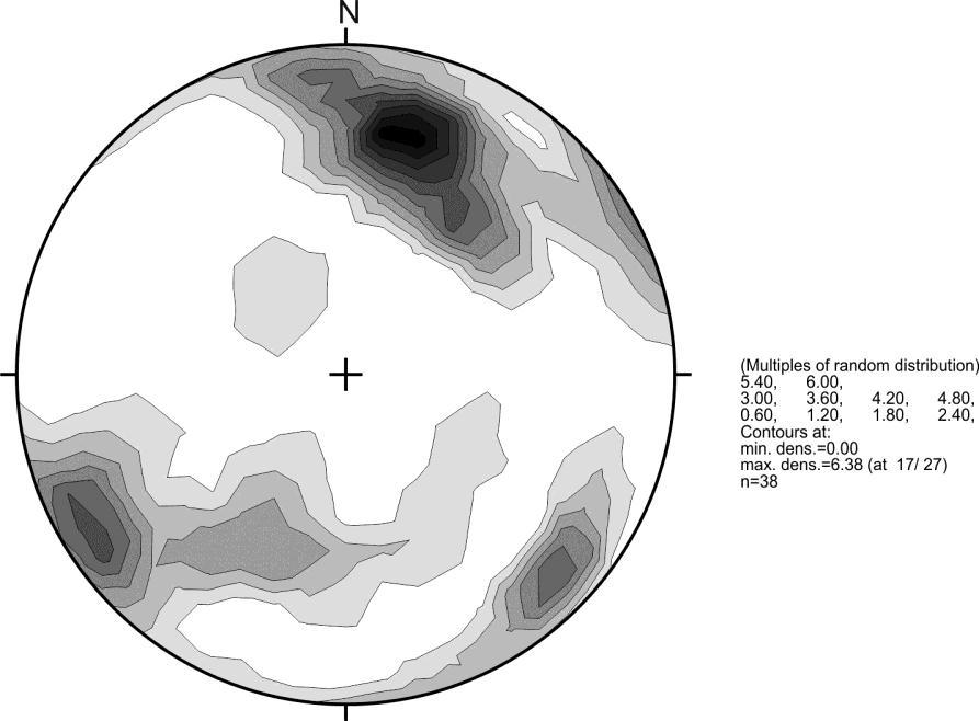 3.1.2 Ρηξιγενές της περιοχής Η ερμηνεία δορυφορικών παρατηρήσεων δίνει την κύρια παράταξη των ρηγμάτων ΒΑ-ΝΔ έως ΑΒΑ-ΔΝΔ (Pavlides S.B., 2011).