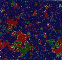 Εναλλαγή spin clusters Αλγόριθµοι προσοµοίωσης