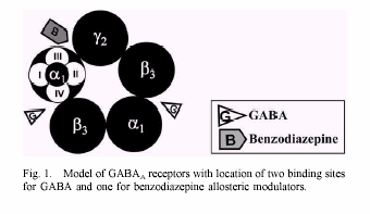 Εικόνα 14 οµή του α1β3γ2-υποτύπου του GABA A υποδοχέα, όπου φαίνονται οι δύο θέσεις δέσµευσης για το GABA και η µια θέση δέσµευσης για τις βενζοδιαζεπινών.
