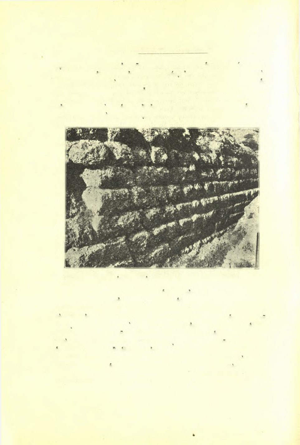 40 Πρακτικά τής 'Αρχαιολογικής Εταιρείας 1928 Ώδεΐον νά άνεκτίσθη επί των Ιδίων θεμελίων τοΰ υπό Περικλεούς ίδρυθέντος.
