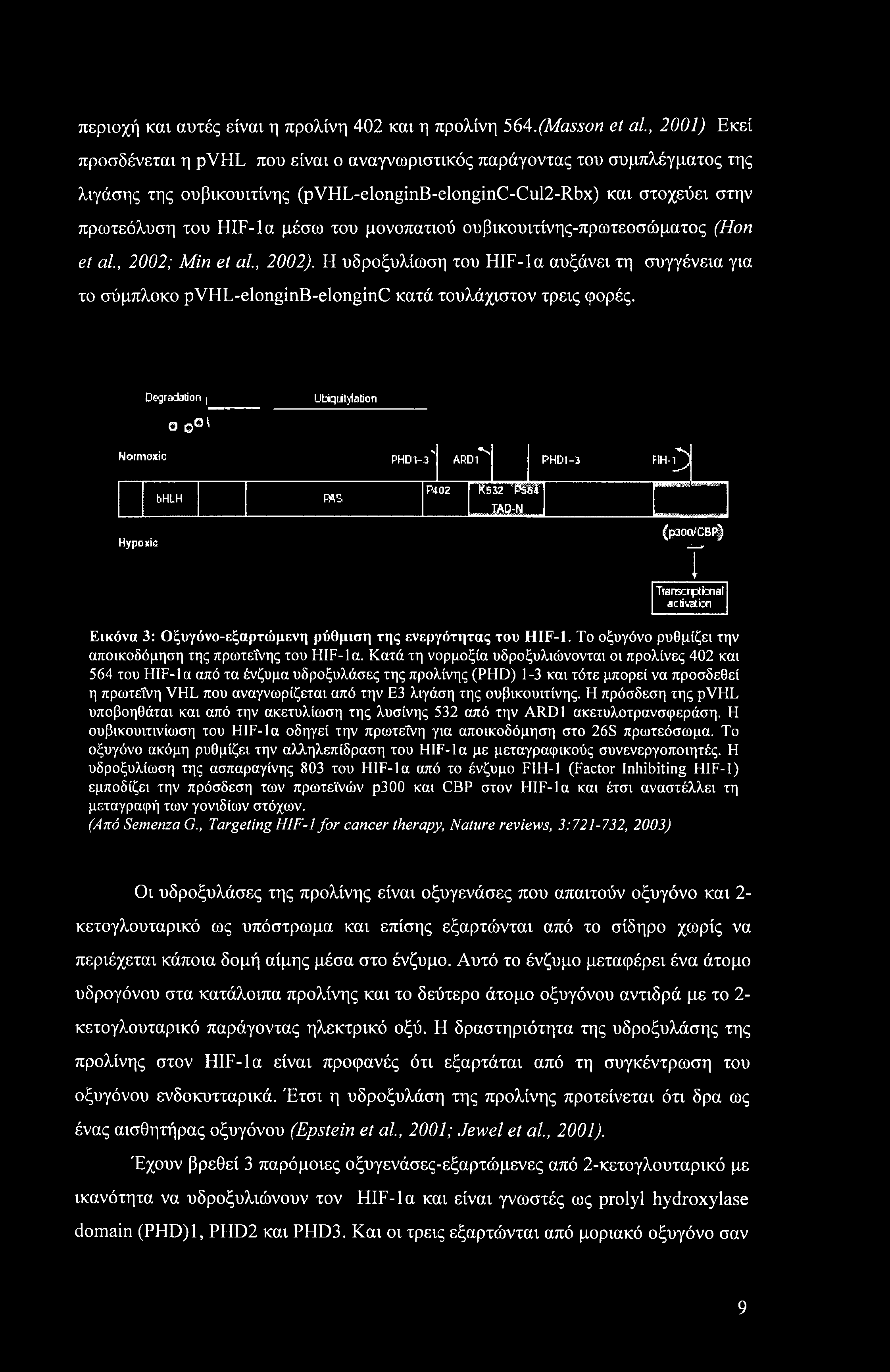 HIF-la μέσω του μονοπατιού ουβικουιτίνης-πρωτεοσώματος (Ηοη et αί, 2002; Min et αί, 2002).