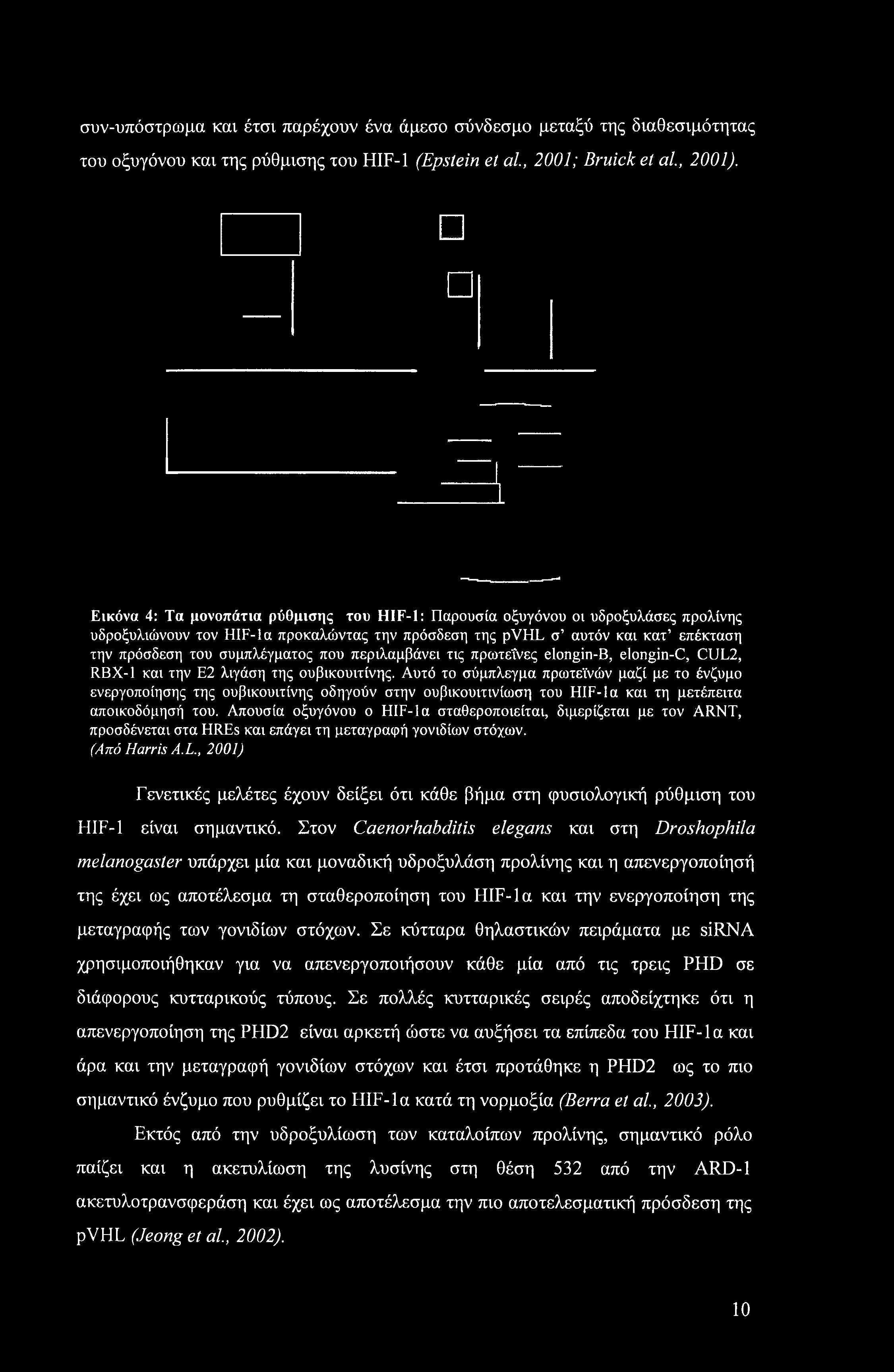 που περιλαμβάνει τις πρωτεΐνες elongin-b, elongin-c, CUL2, RBX-1 και την Ε2 λιγάση της ουβικουιτίνης.