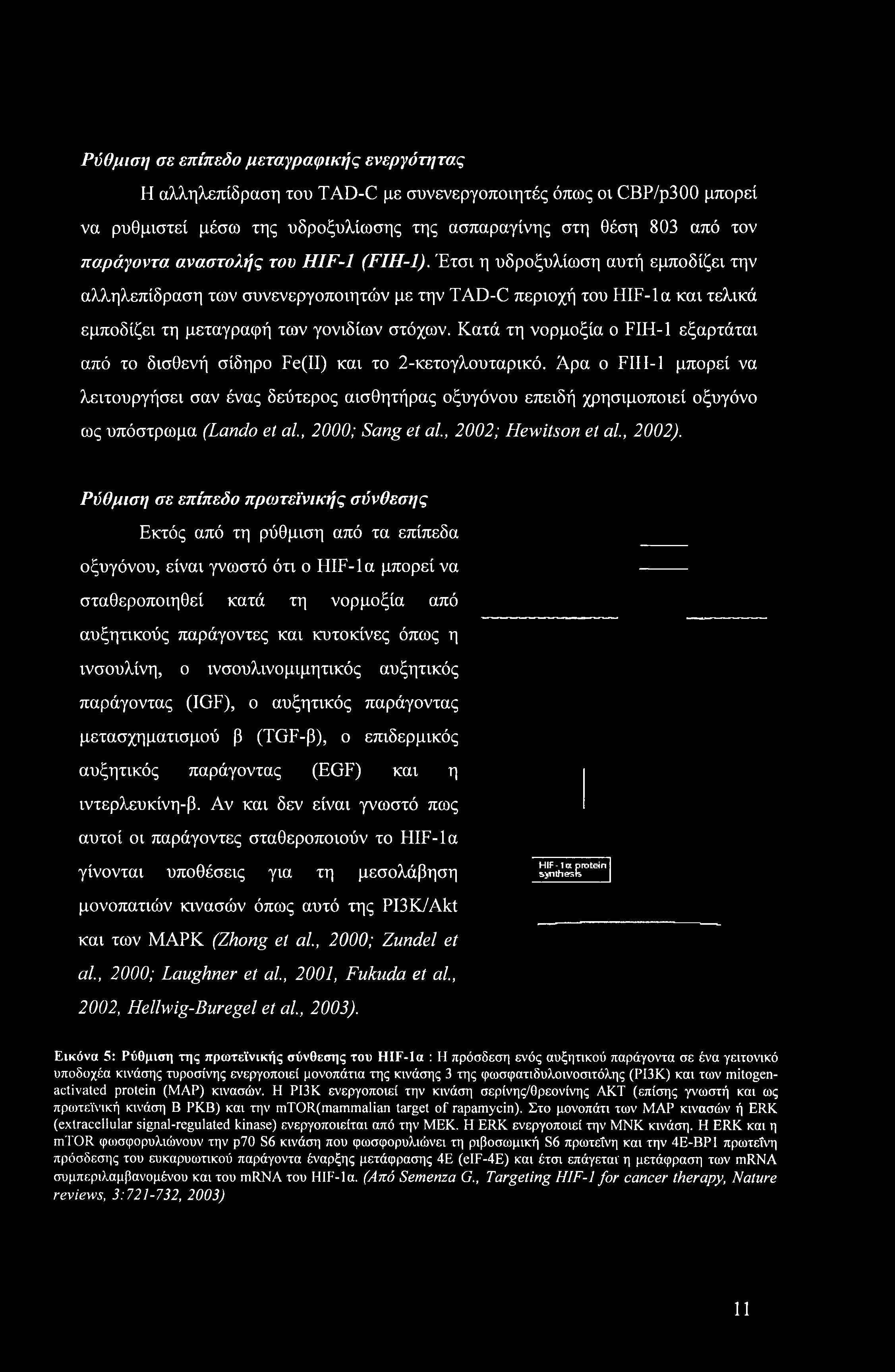 Κατά τη νορμοξία ο FIH-1 εξαρτάται από το δισθενή σίδηρο Fe(II) και το 2-κετογλουταρικό.