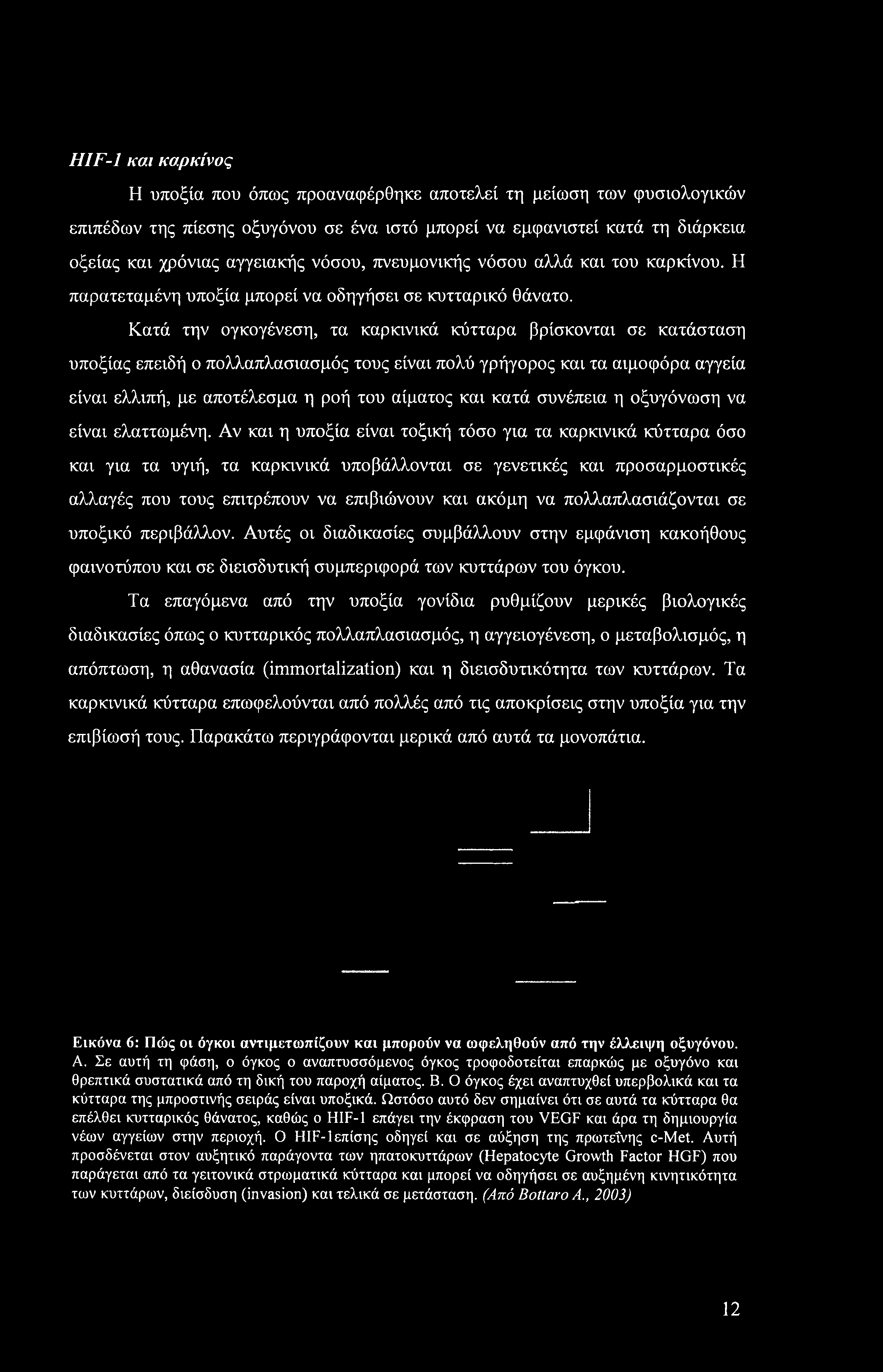 Κατά την ογκογένεση, τα καρκινικά κύτταρα βρίσκονται σε κατάσταση υποξίας επειδή ο πολλαπλασιασμός τους είναι πολύ γρήγορος και τα αιμοφόρα αγγεία είναι ελλιπή, με αποτέλεσμα η ροή του αίματος και
