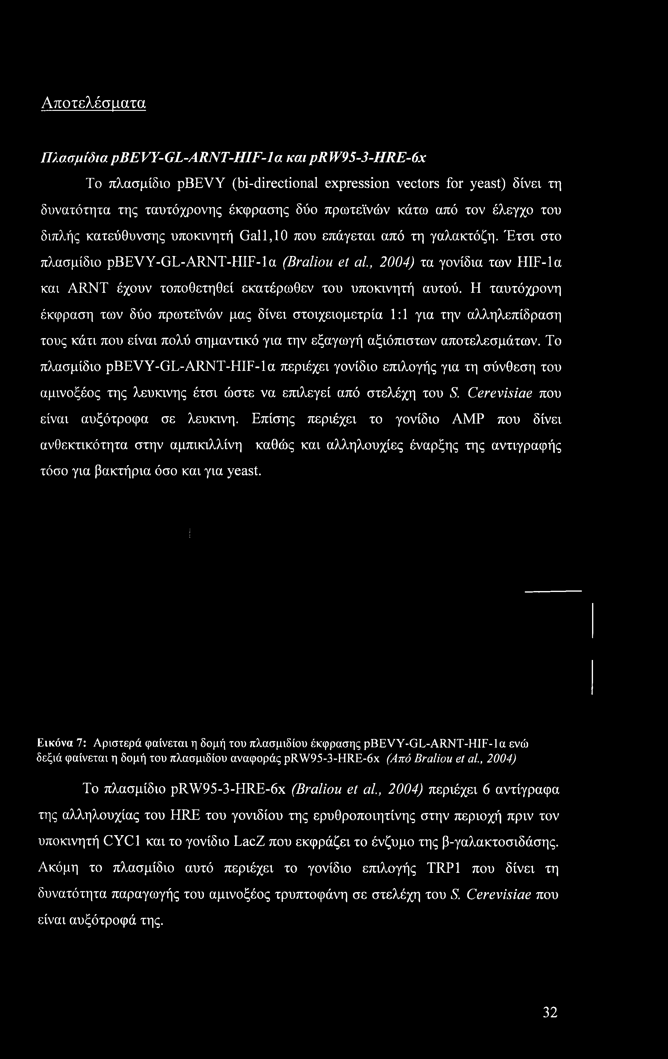 Έτσι στο πλασμίδιο pbevy-gl-arnt-hif-ια (Braliou et αί, 2004) τα γονίδια των HIF-la και ARNT έχουν τοποθετηθεί εκατέρωθεν του υποκινητή αυτού.