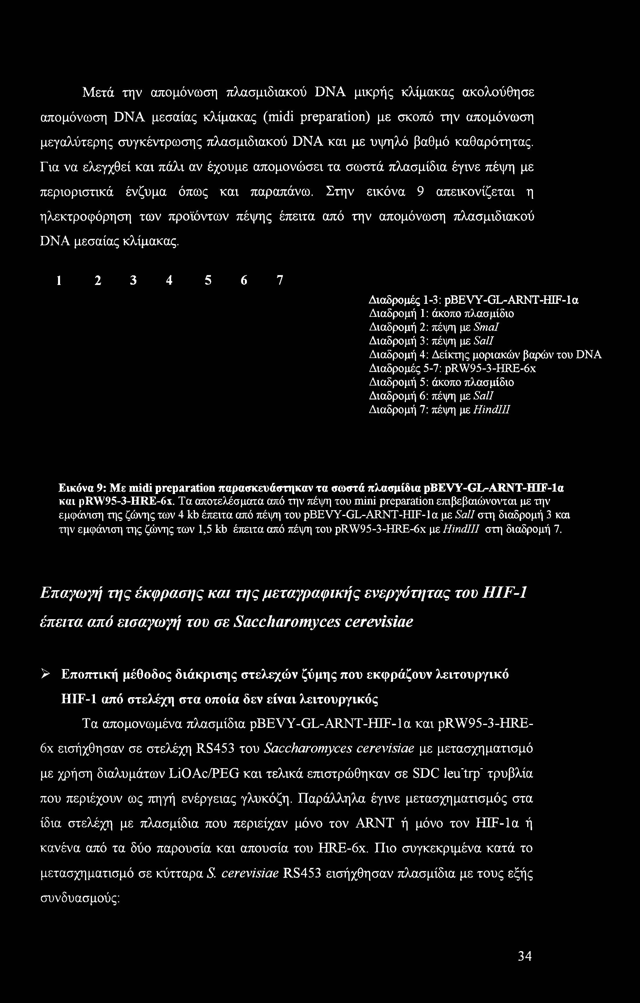Στην εικόνα 9 απεικονίζεται η ηλεκτροφόρηση των προϊόντων πέψης έπειτα από την απομόνωση πλασμιδιακού DNA μεσαίας κλίμακας.