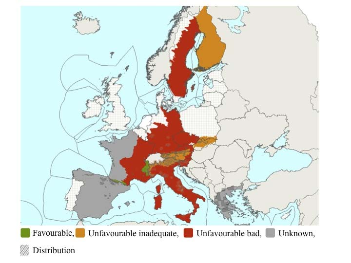 του είδους Lycaenadispar Χάρτης 2.5.