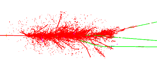 .. pion (or another hadron) Electrons and pions with their children are almost completely absorbed