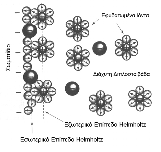 Φορτισμένες Διεπιφάνειες (3) Εσωτερικό επίπεδο Helmholtz: κέντρα των προσροφημένων στην φορτισμένη επιφάνεια ιόντων Εξωτερικό επίπεδο Helmholtz (επίπεδο Stern): πλησιέστερη προσέγγιση