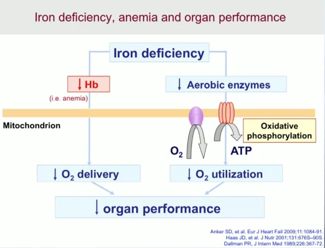 Οι συνέπειες της σιδηροπενίας: Ελλιπής παροχή οξυγόνου και αξιοποίηση Defective oxygen