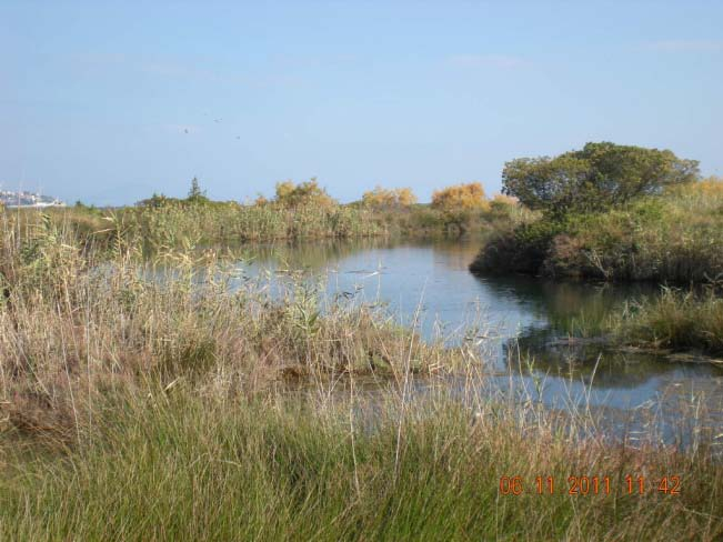 Καταρράκτης Λεπίδας Περιοχές NATURA 2000 Η Προστατευόμενη Περιοχή καταλαμβάνει έκταση 1.147.