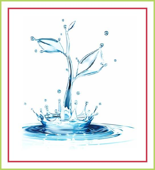Α.Εισαγωγή Α.1. Το Νερό στη Ζωή των Φυτών Η ζωή στο πλανήτη οφείλει τη δημιουργία της στην ύπαρξη νερού.