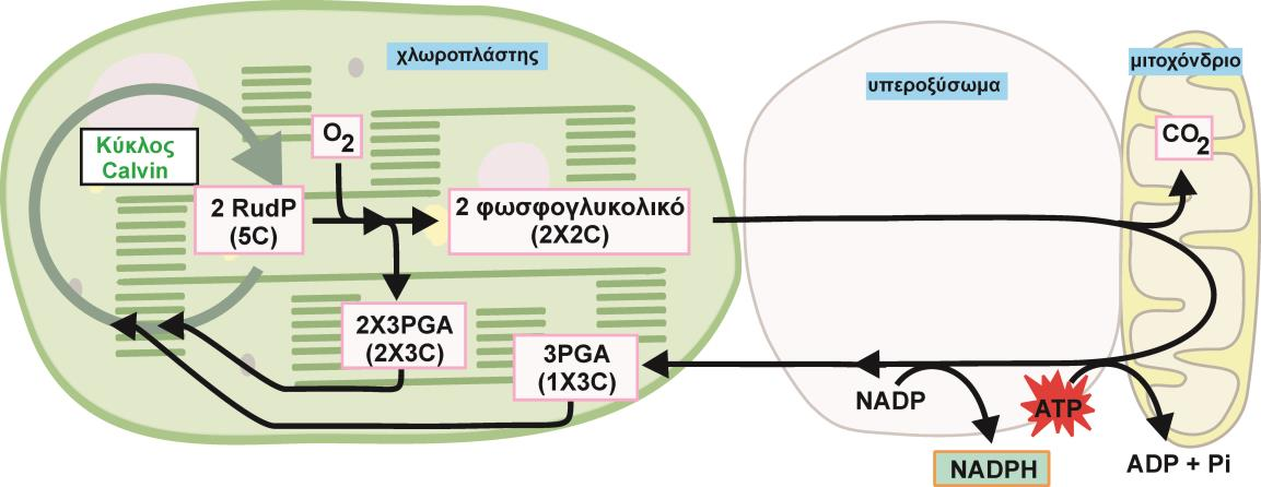 Α.7.3.