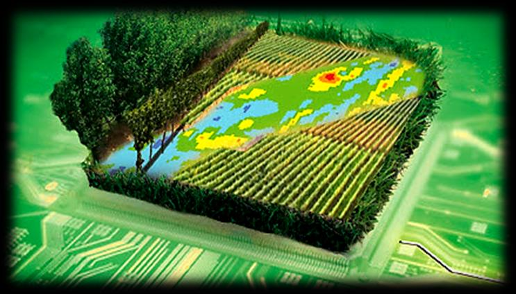 Vineyard Detection and Vine Variety Discrimination using Remote