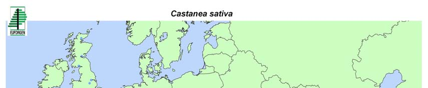 1. ΕΙΣΑΓΩΓΗ ΤΟΠΟΘΕΤΗΣΗ ΘΕΜΑΤΟΣ Η καστανιά (Castanea sativa Mill.