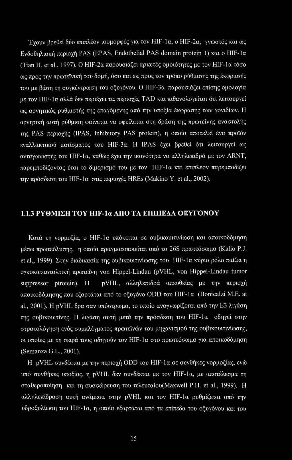 Ο HIF-3a παρουσιάζει επίσης ομολογία με τον HIF-1 α αλλά δεν περιέχει τις περιοχές TAD και πιθανολογείται ότι λειτουργεί ως αρνητικός ρυθμιστής της επαγόμενης από την υποξία έκφρασης των γονιδίων.
