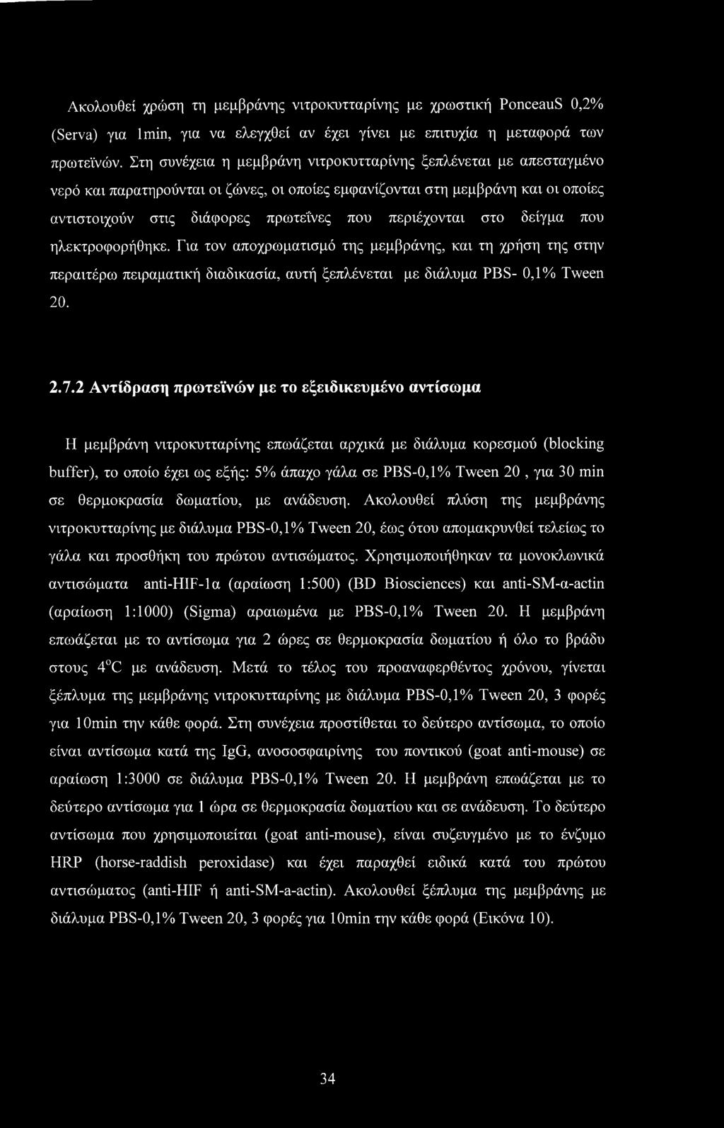περιέχονται στο δείγμα που ηλεκτροφορήθηκε. Για τον αποχρωματισμό της μεμβράνης, και τη χρήση της στην περαιτέρω πειραματική διαδικασία, αυτή ξεπλένεται με διάλυμα PBS- 0,1% Tween 20. 2.7.
