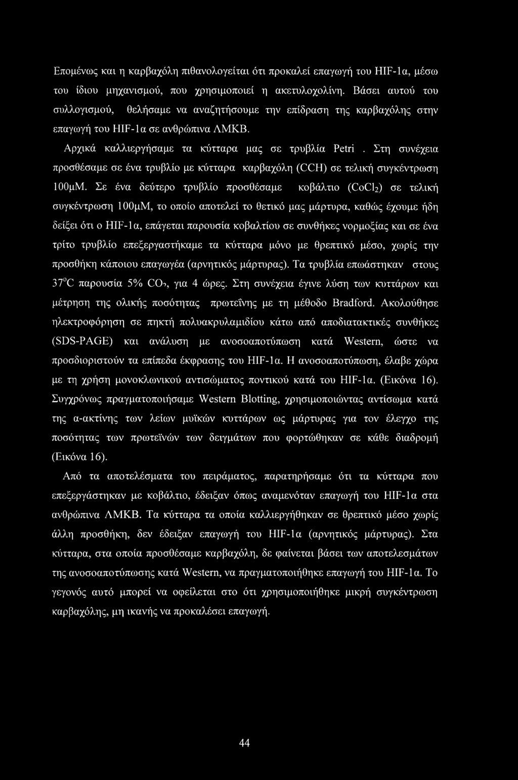 Στη συνέχεια προσθέσαμε σε ένα τρυβλίο με κύτταρα καρβαχόλη (CCH) σε τελική συγκέντρωση ΙΟΟμΜ.