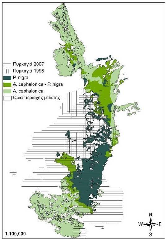 Με πράσινο απεικονίζονται οι άκαυτες εκτάσεις ή οι εκτάσεις όπου υπάρχει αναγέννηση, ενώ οι καμένες