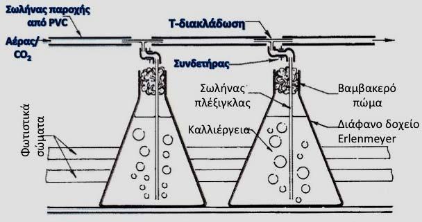 27 συνθήκες (κυρίως θερμοκρασία και φως).