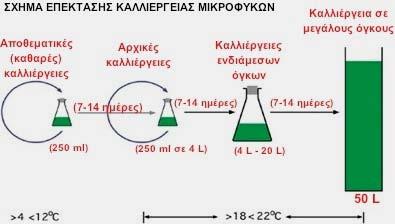 29 Συνεπώς η όλη διαδικασία γίνεται σταδιακά κατά την οποία αρχίζοντας από καθαρά αποθέματα προχωρούμε σε ολοένα