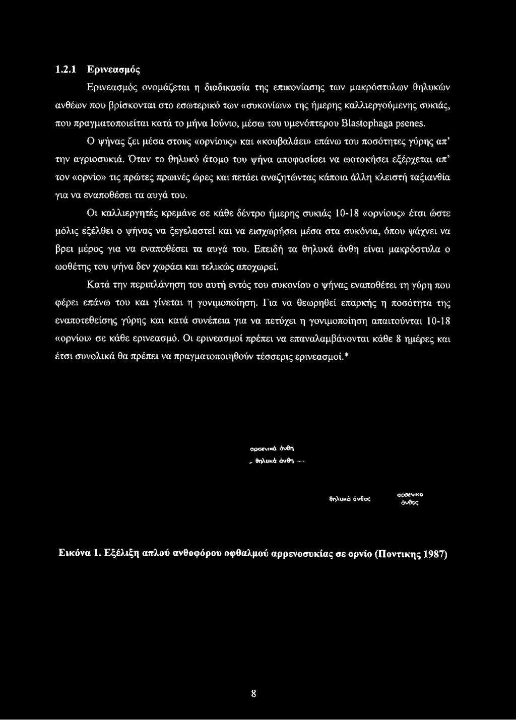 Ο ψήνας ζει μέσα στους «ορνίους» και «κουβαλάει» επάνω του ποσότητες γύρης απ την αγριοσυκιά.