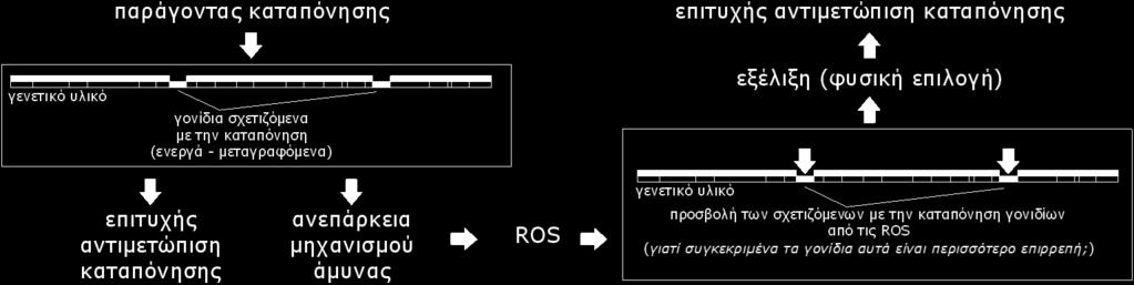 την ομαλή λειτουργία ή να προκαλέσουν