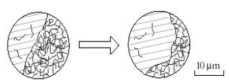 Σχήμα 4.6: Μετατόπιση στα όρια δύο κρυστάλλων. Φαίνεται πολύ έντονα η ανάπτυξη που παρουσιάζει ο κρύσταλλος που βρίσκεται αριστερά, σε βάρος του δεξιού κρυστάλλου, (Passchier 1996).