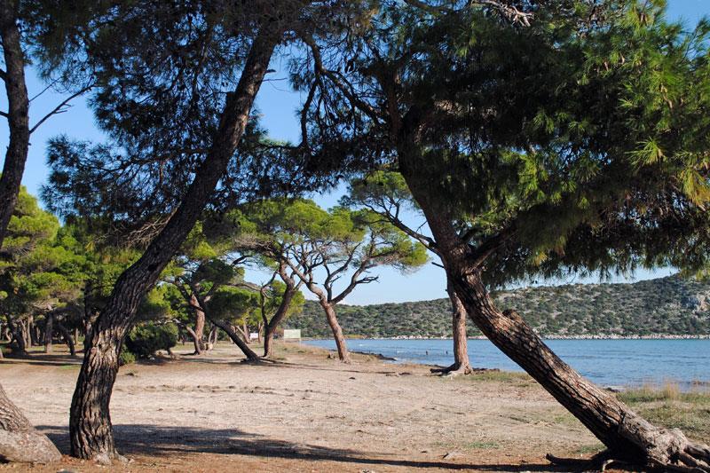 Περιοχή Οικοανάπτυξης Περιοχές οικοανάπτυξης χαρακτηρίζονται κάποιες ευρύτερες περιοχές, όπως οικισμοί ή χωριά, που έχουν ιδιαίτερη αξία και ενδιαφέρον λόγω ορισμένων φυσικών και πολιτιστικών