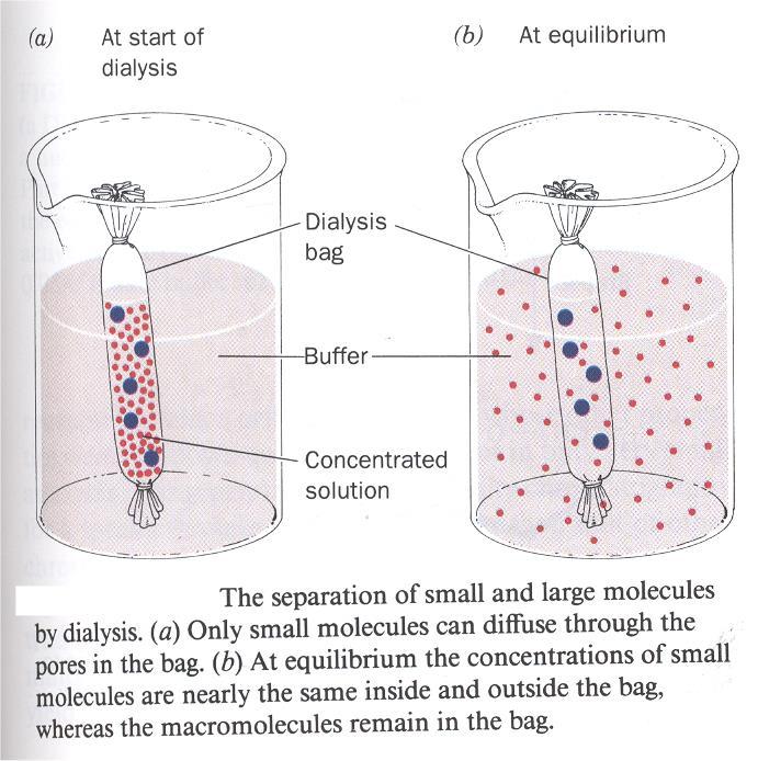ΔΙΑΠΙΔΥΣΗ (Dialysis) μορφή μοριακής διήθησης Μπορεί να χρησιμοποιηθεί και για συμπύκνωση διαλυμάτων (με το πολυμερές