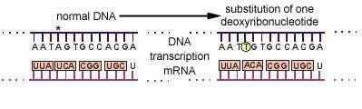 2. Θεωρητικό Μέρος 77 APHA-ΑWWA-WEF,1995, Mortelmans and Zeiger, 2000).