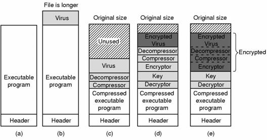 Τεχνικές αντιιών και αντι-αντιιών (α) Ένα πρόγραμμα (β) Μολυσμένο πρόγραμμα (γ) Συμπιεσμένο μολυσμένο πρόγραμμα (δ) Κρυπτογραφημένος ιός (ε) Συμπιεσμένος ιός με